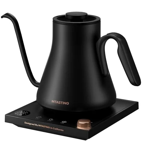 INTASTING Gooseneck Kettle 0.9L with 1F Precision Control