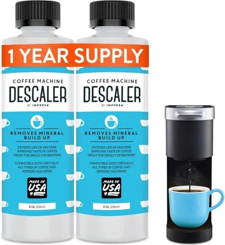 9 Best Water Descalers (2026 Review Guide)