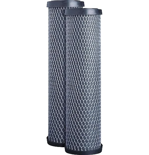 GE FXWTC Whole House Sediment and Chlorine Filter 2-Pack
